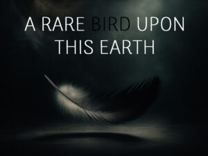 A Rare Bird Upon This Earth