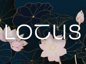 Lotus (A Class)