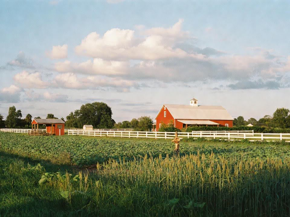 Homegrown - Co-Commission